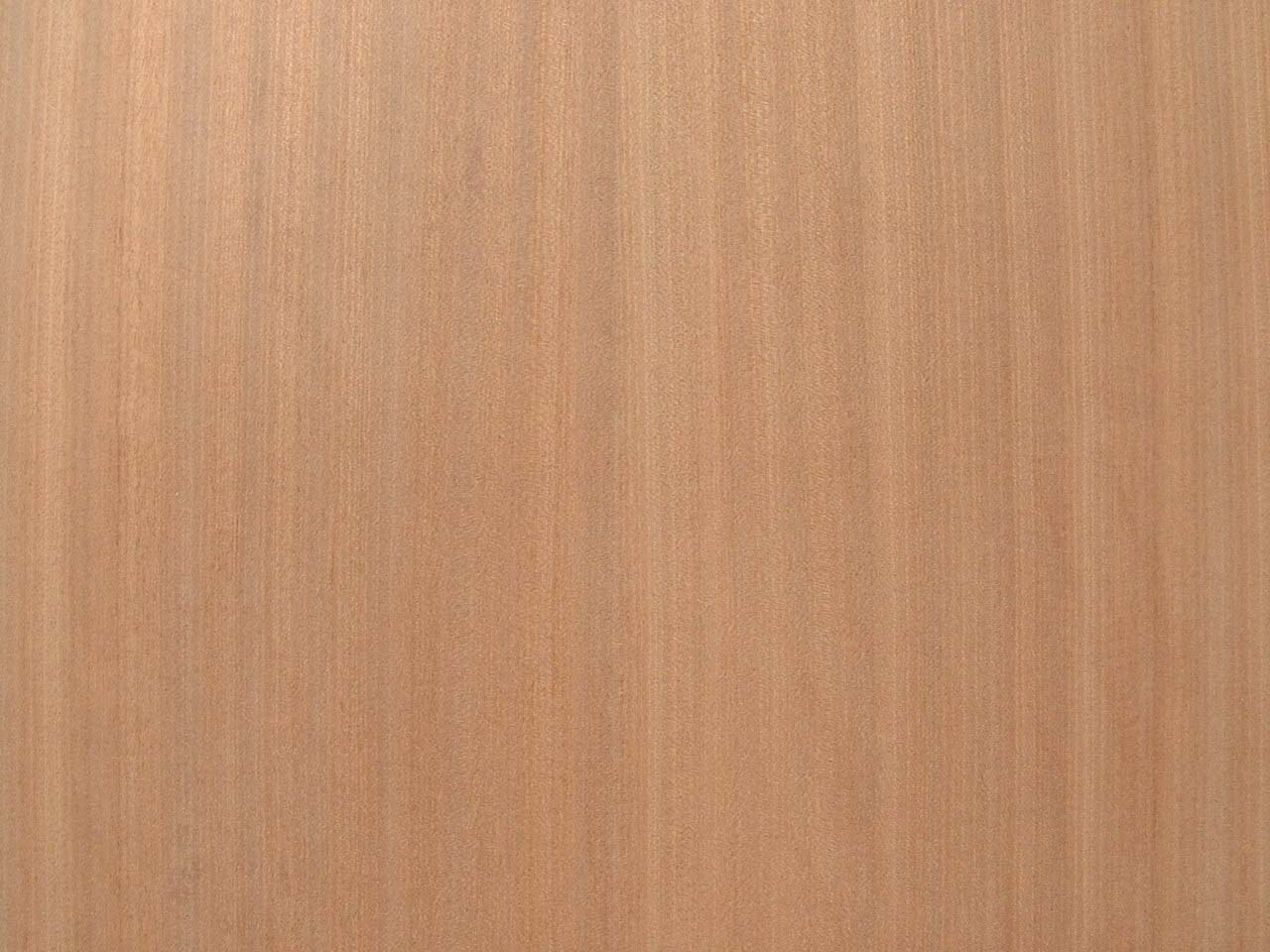 Plywood 1/8 x 12 x 48 3 Ply(1) 6251